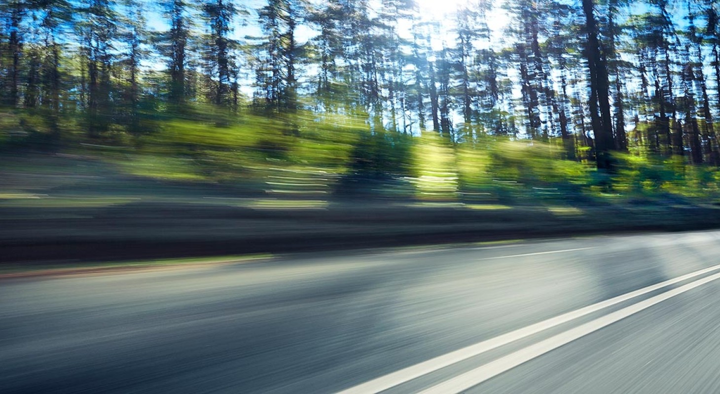 blurred view of trees along highway