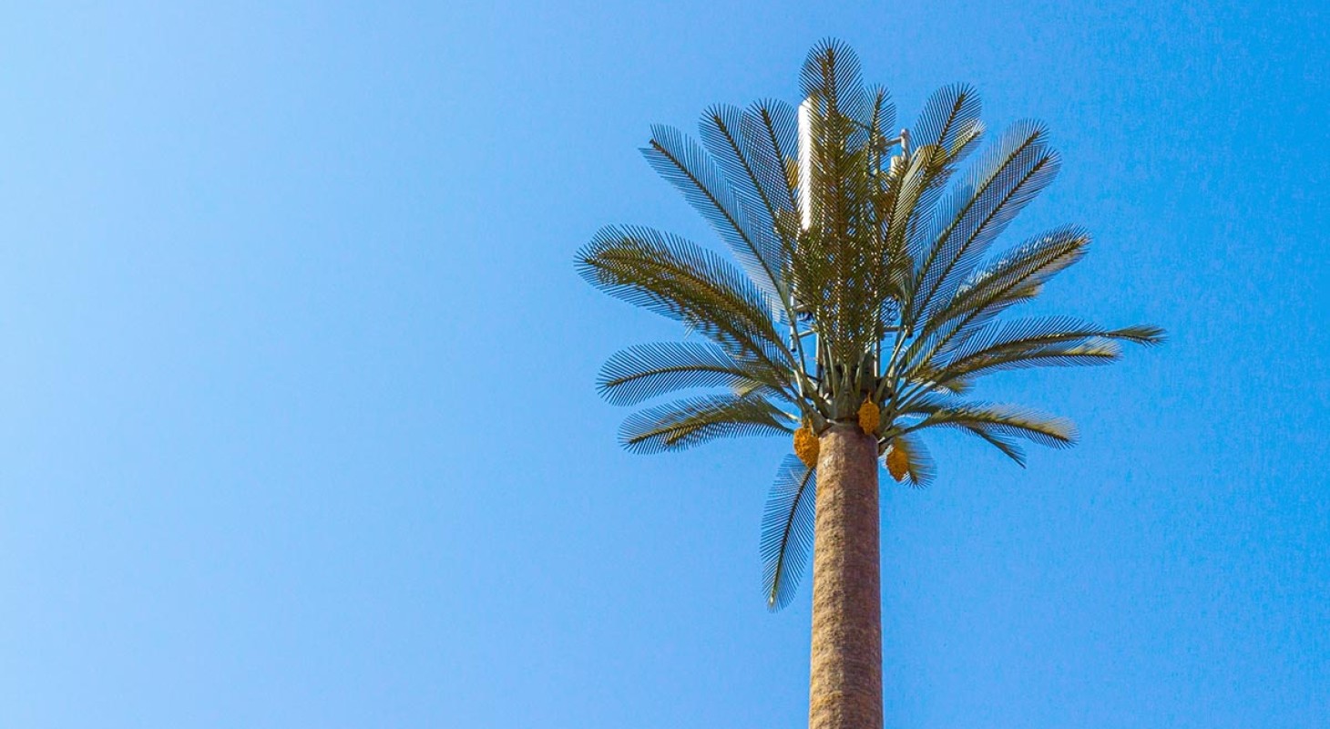 radio tower disguised as palm tree