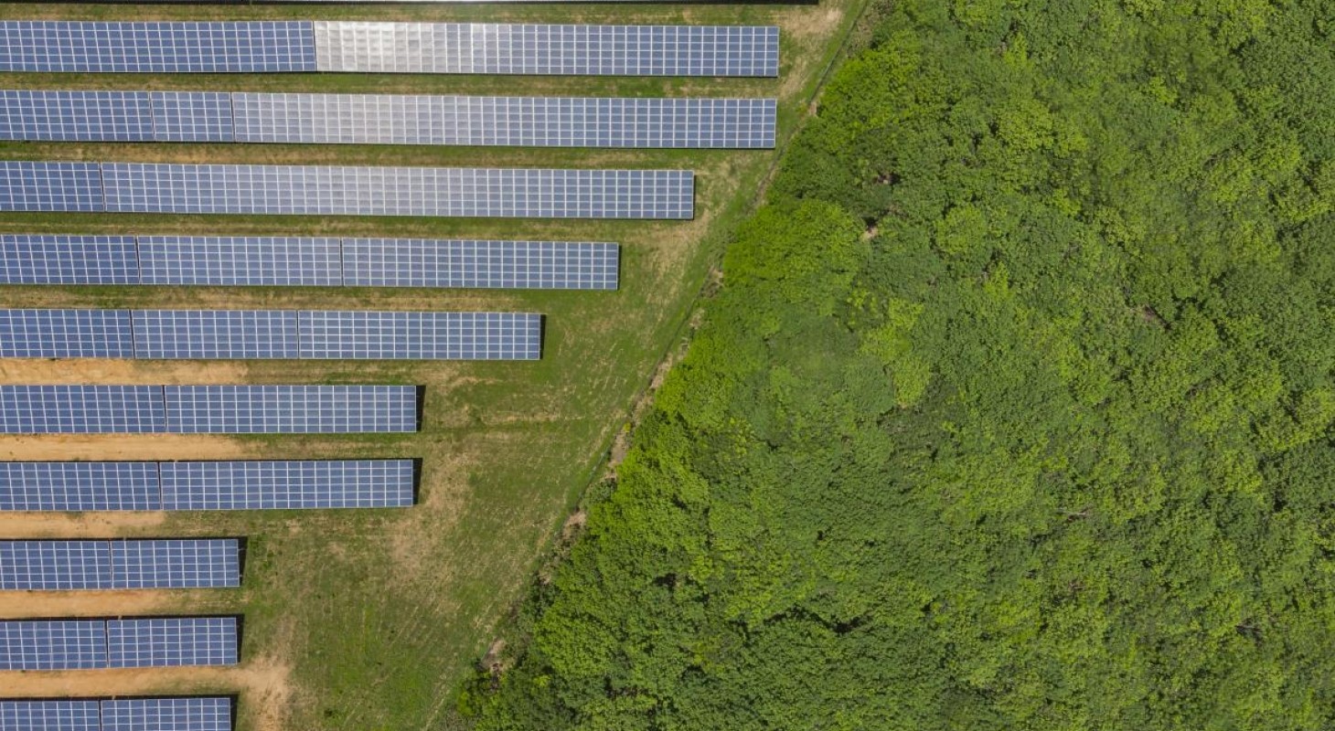 overhead view of field of solar panels abutting forest land