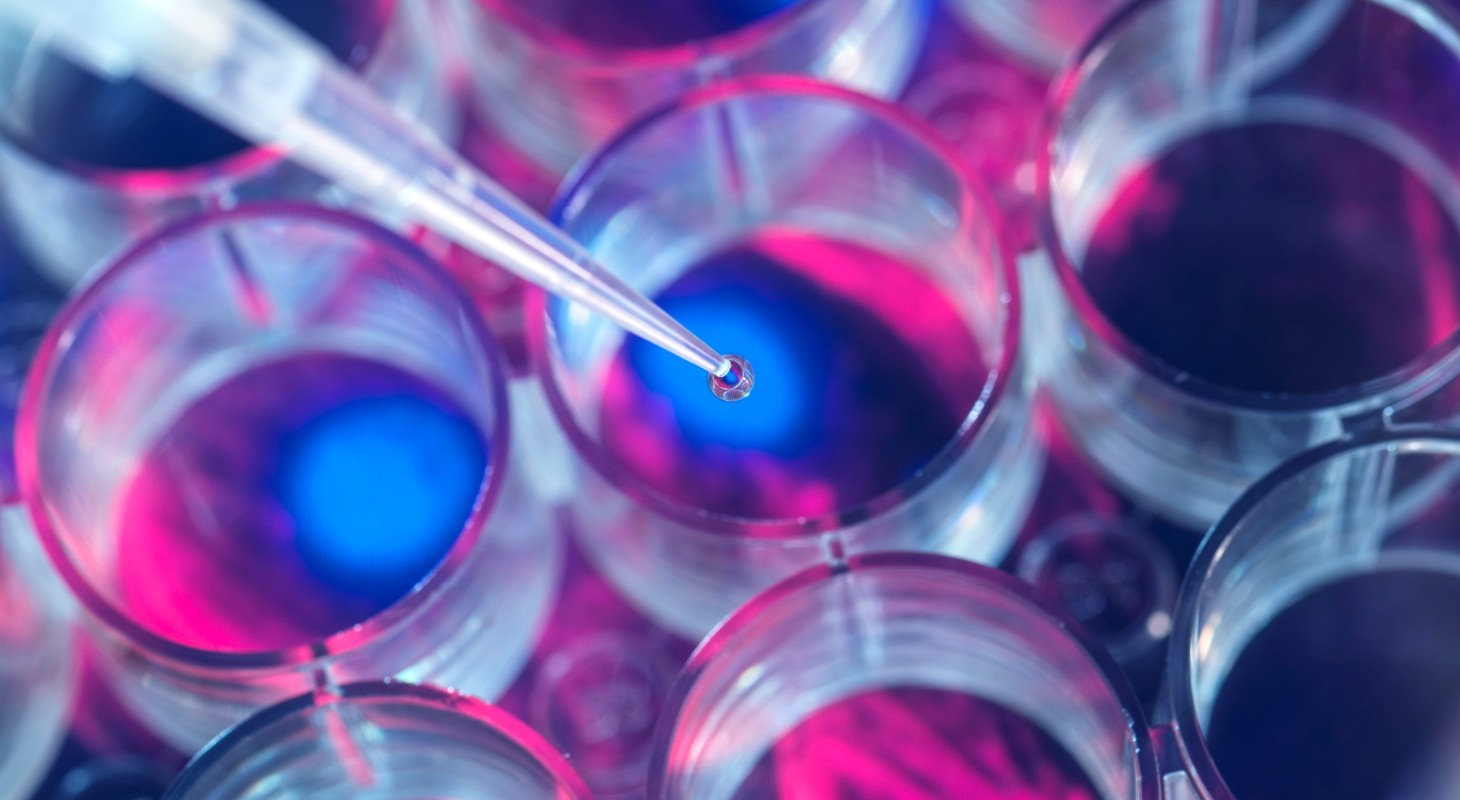 cell research pipets