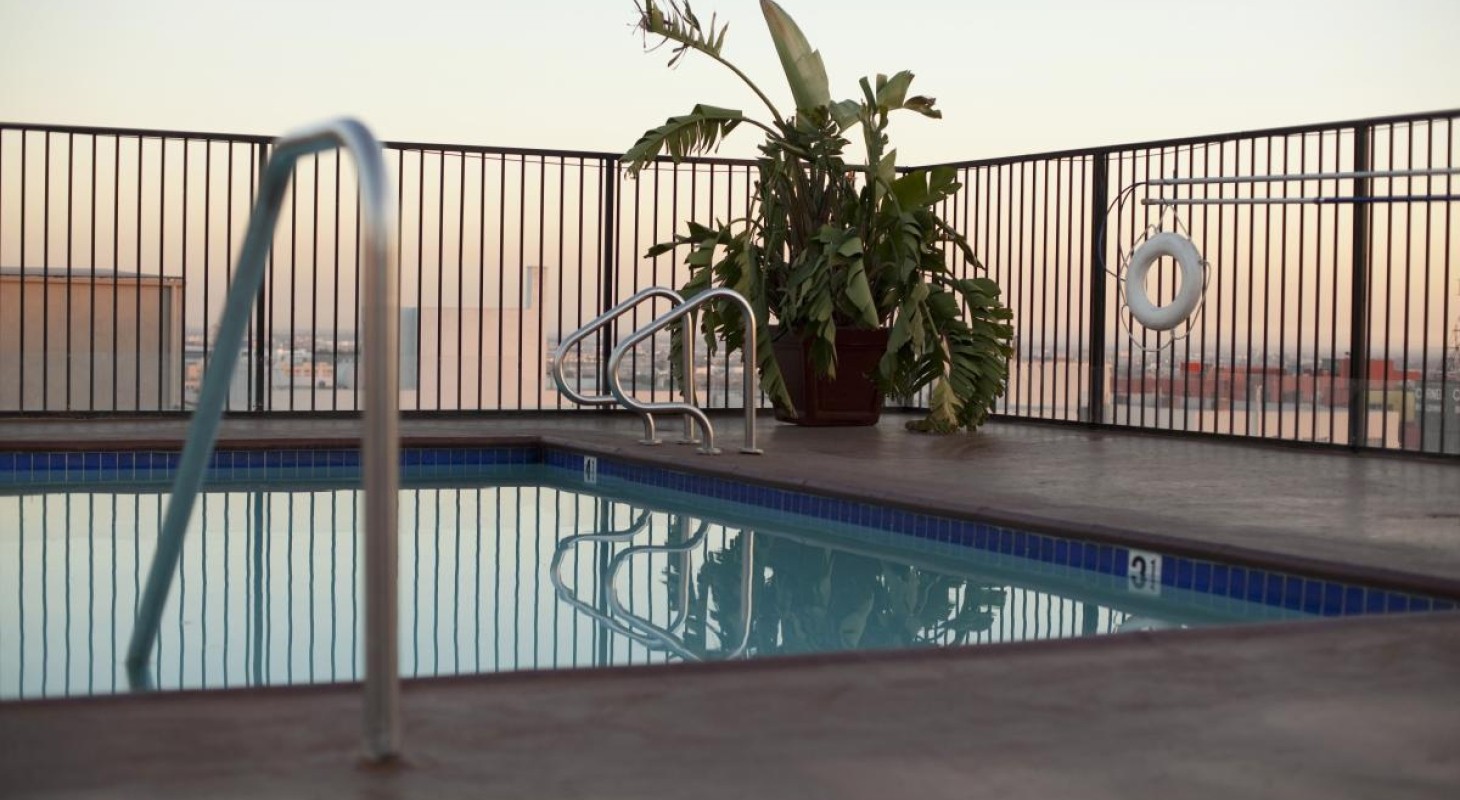 small pool and large outdoor plant on rooftop deck at dusk