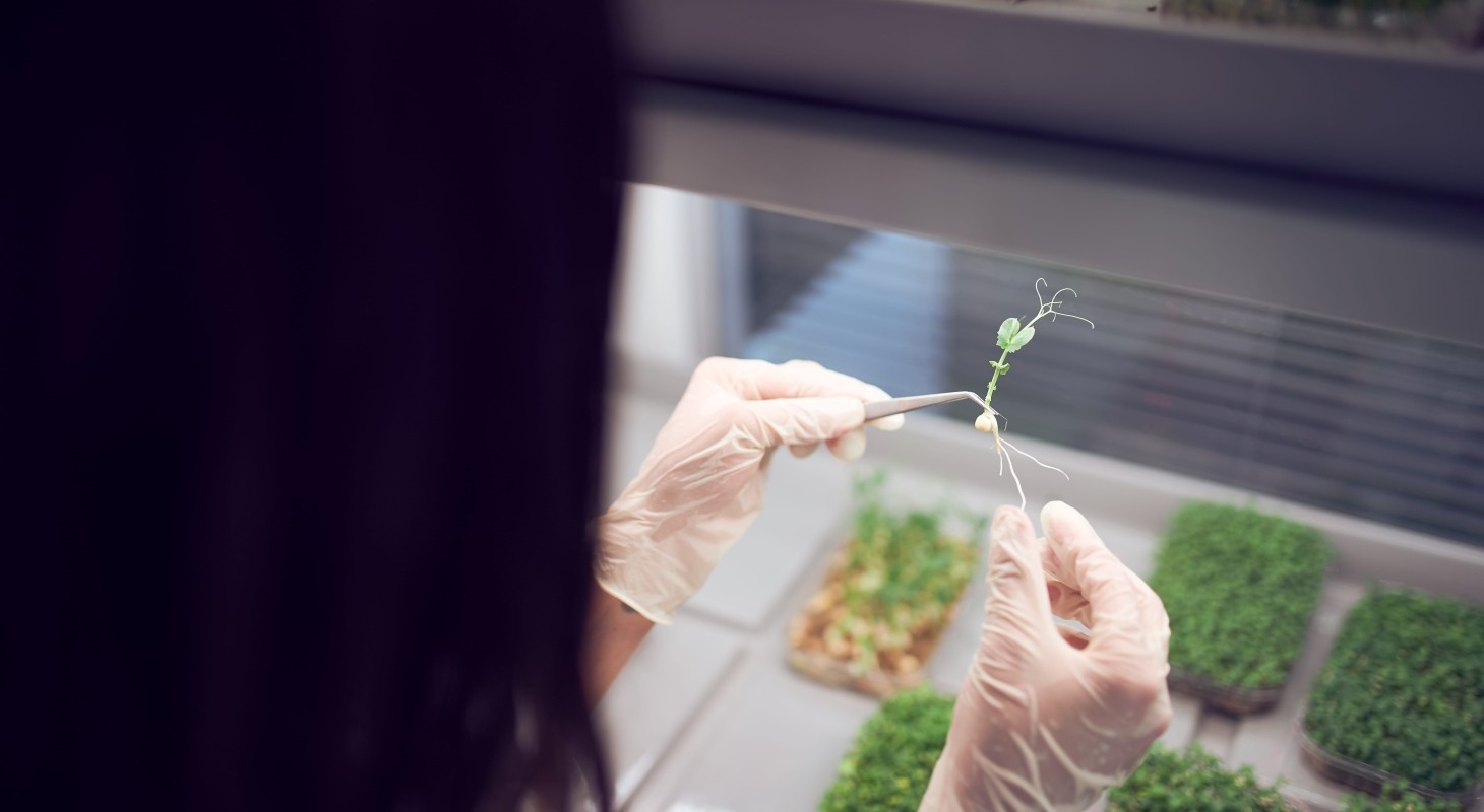 women checking plant in lab