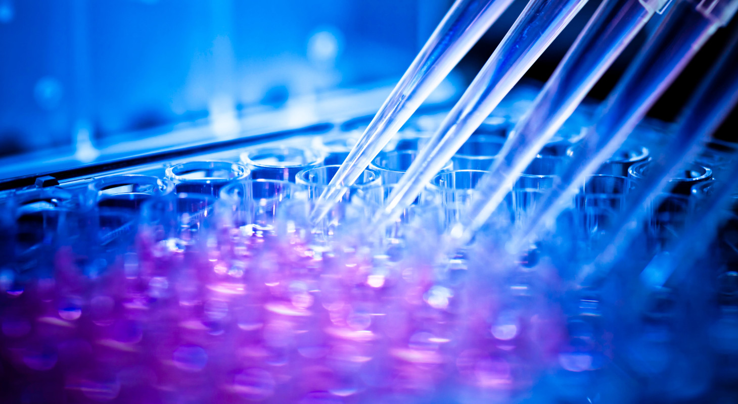 analyzing samples