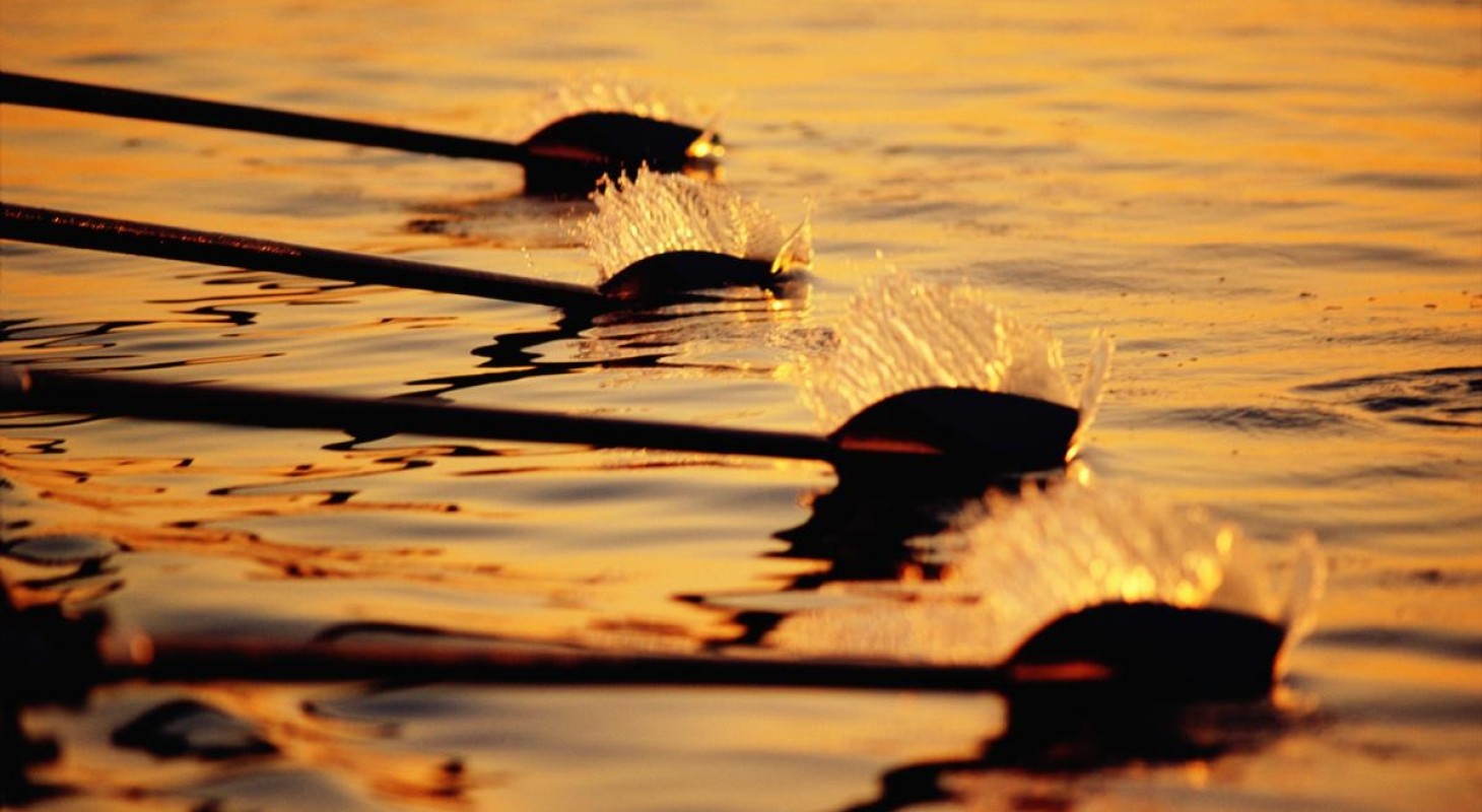 rowing teams oars in the water at dawn