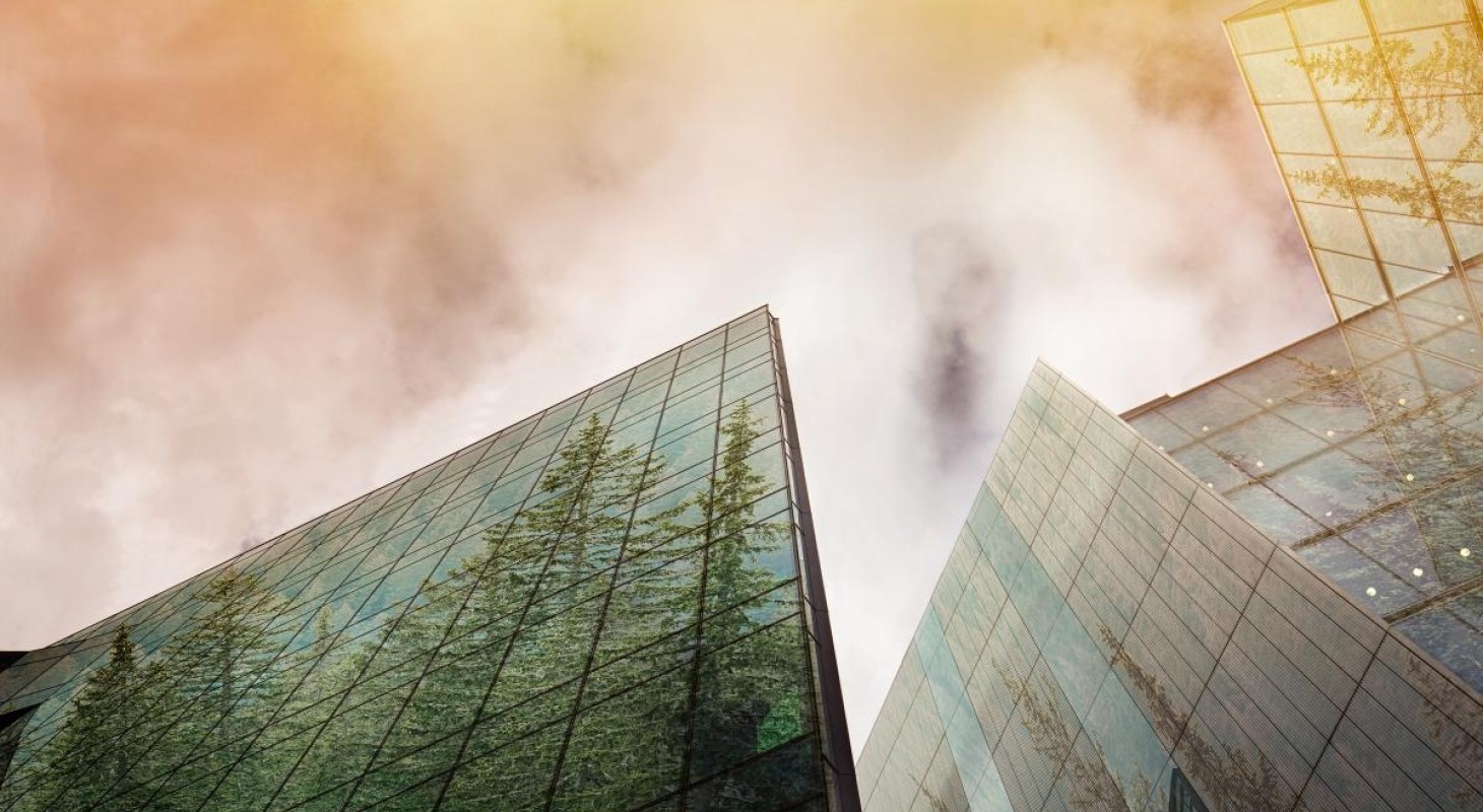 conifer-trees-reflected-in-glass-office-building