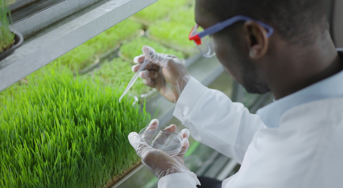 scientist makes analysis of plants