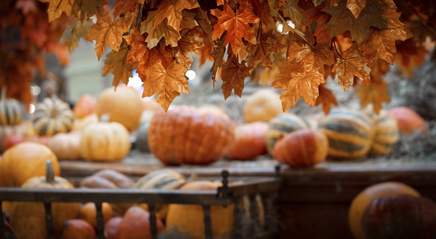 celebrating harvest