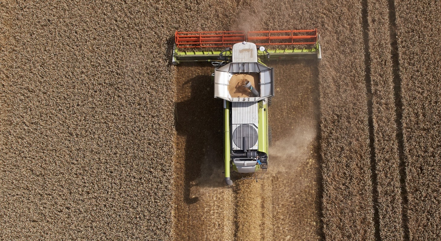 combine harvesting crop