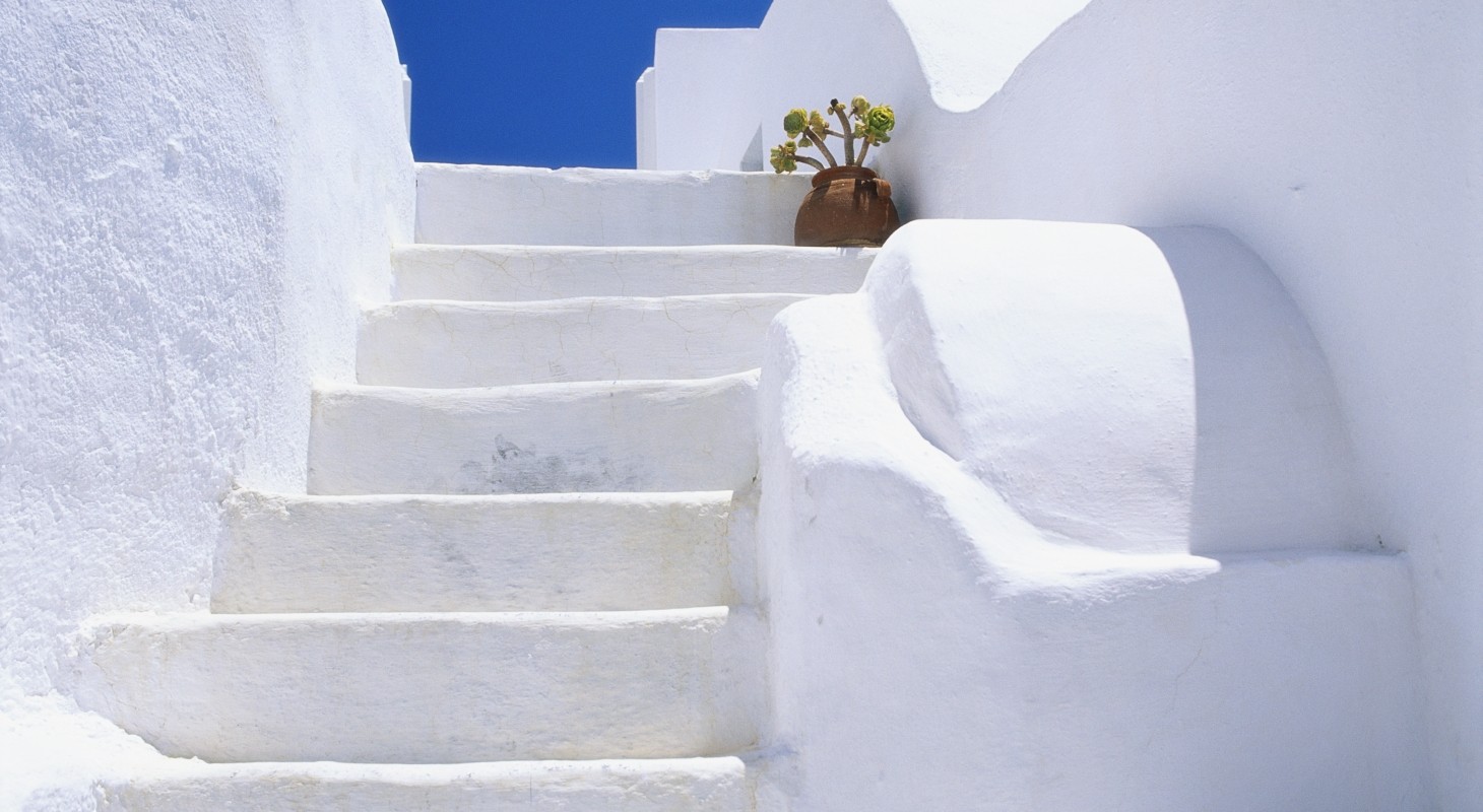potted flowers on staircase