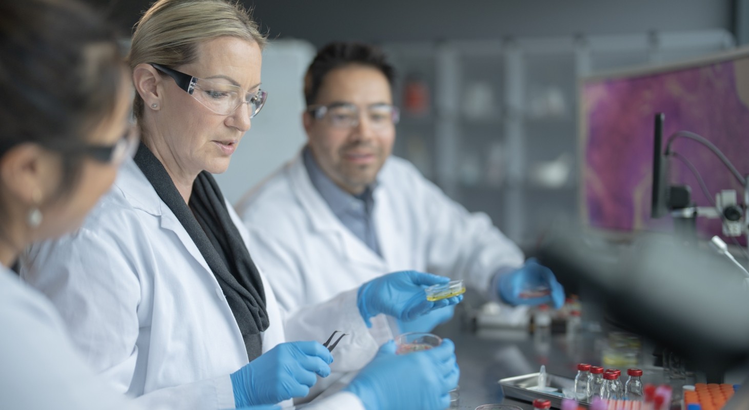 three life sciences researchers working together in the lab