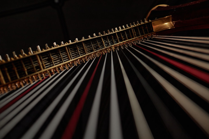 metal strings of harp standing in dim light