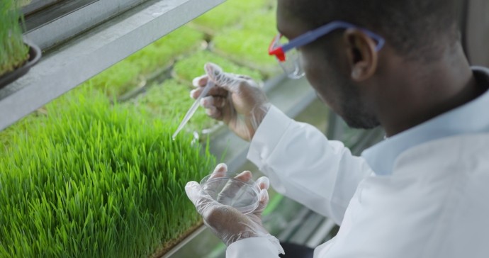 scientist makes analysis of plants