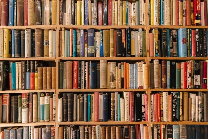 basic wood shelves foll of old books