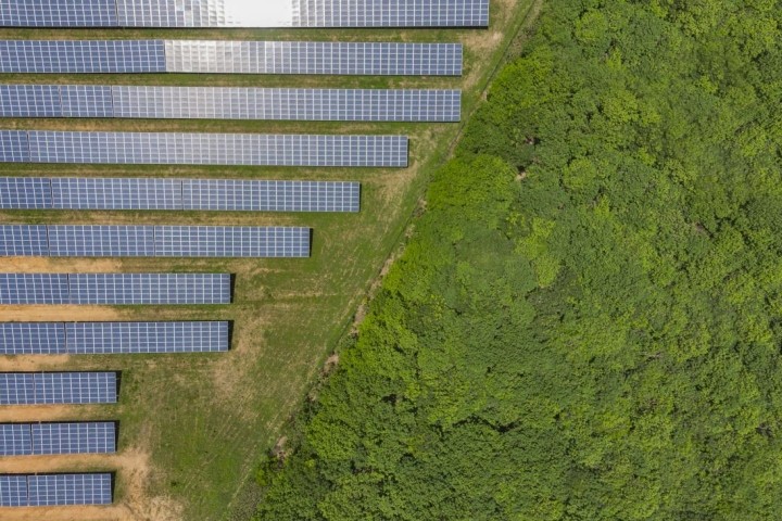 overhead view of field of solar panels abutting forest land