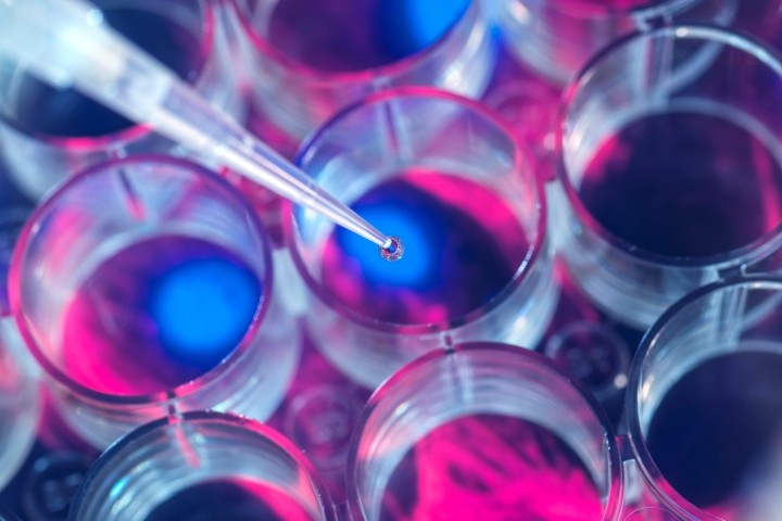 cell research pipets