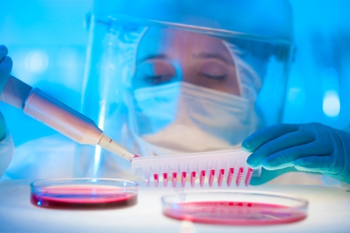 life sciences technician working with petri dishes