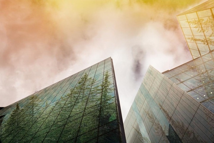 conifer-trees-reflected-in-glass-office-building