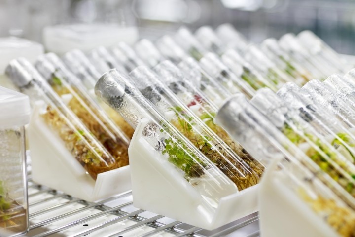 2011 singapore world orchid conference