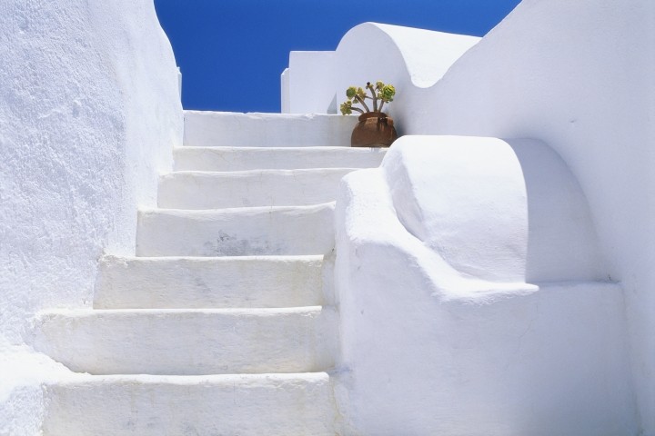 potted flowers on staircase