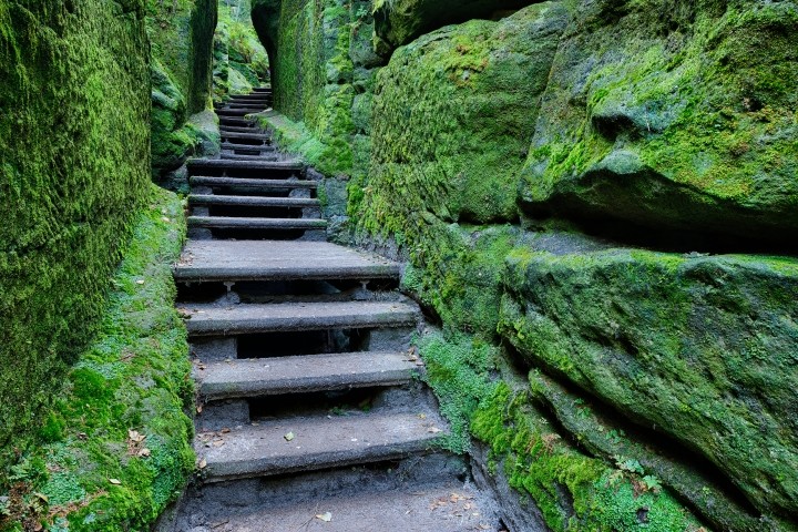 hiking trail between sandstone and rocks