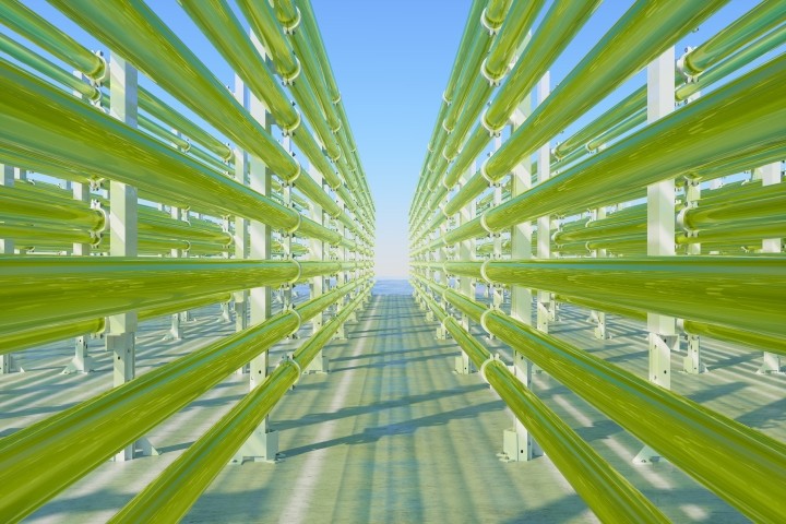 green tubular algae bioreactors producing biofuel