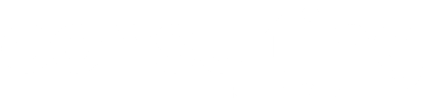 the consulting report