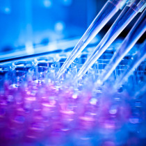 analyzing samples