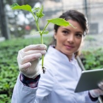 biologist holding seedling and tablet in greenhouse