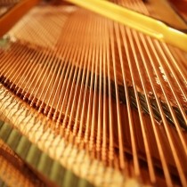 grand piano strings close up