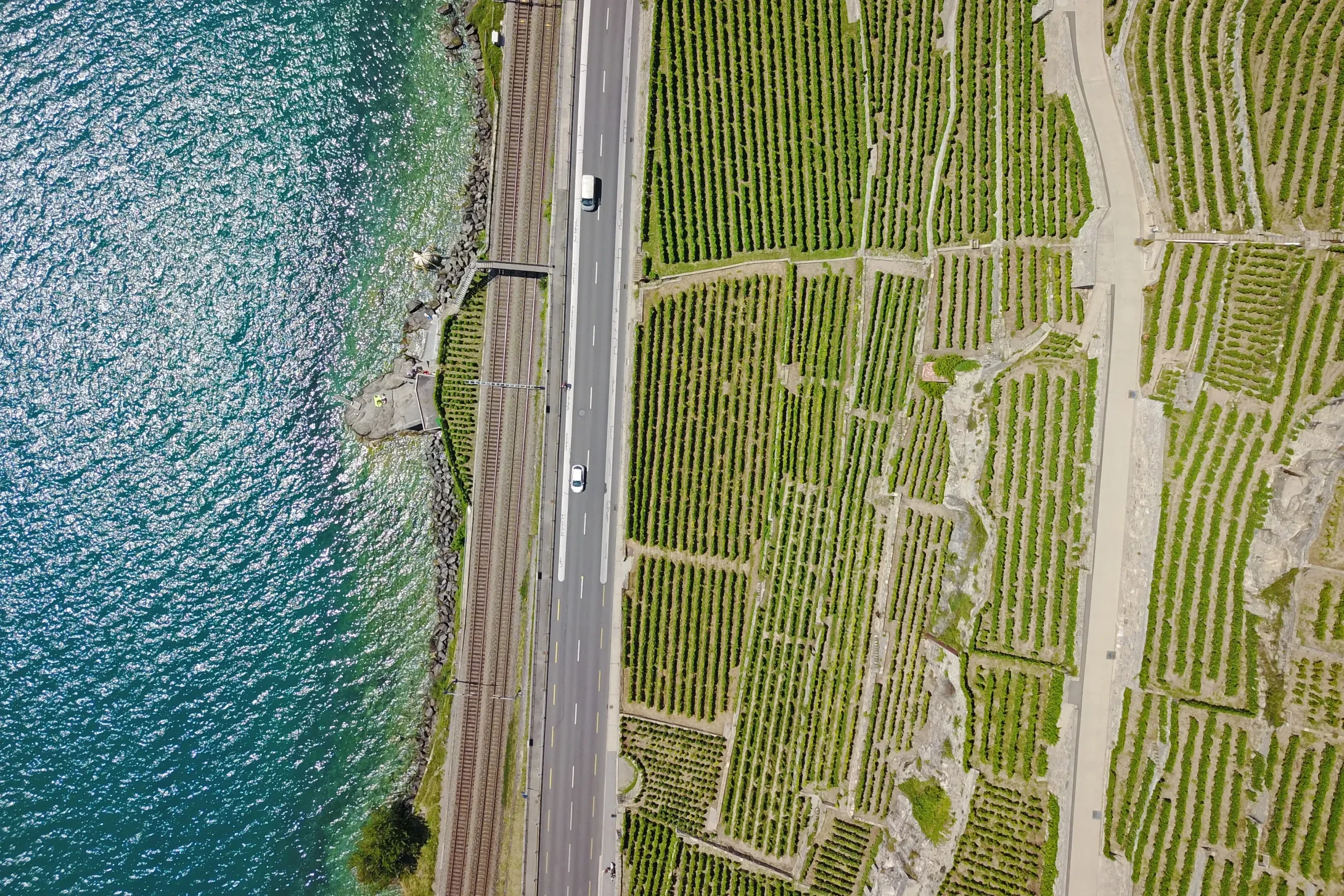 aerial view of ocean and vineyards divided by railroad and highway